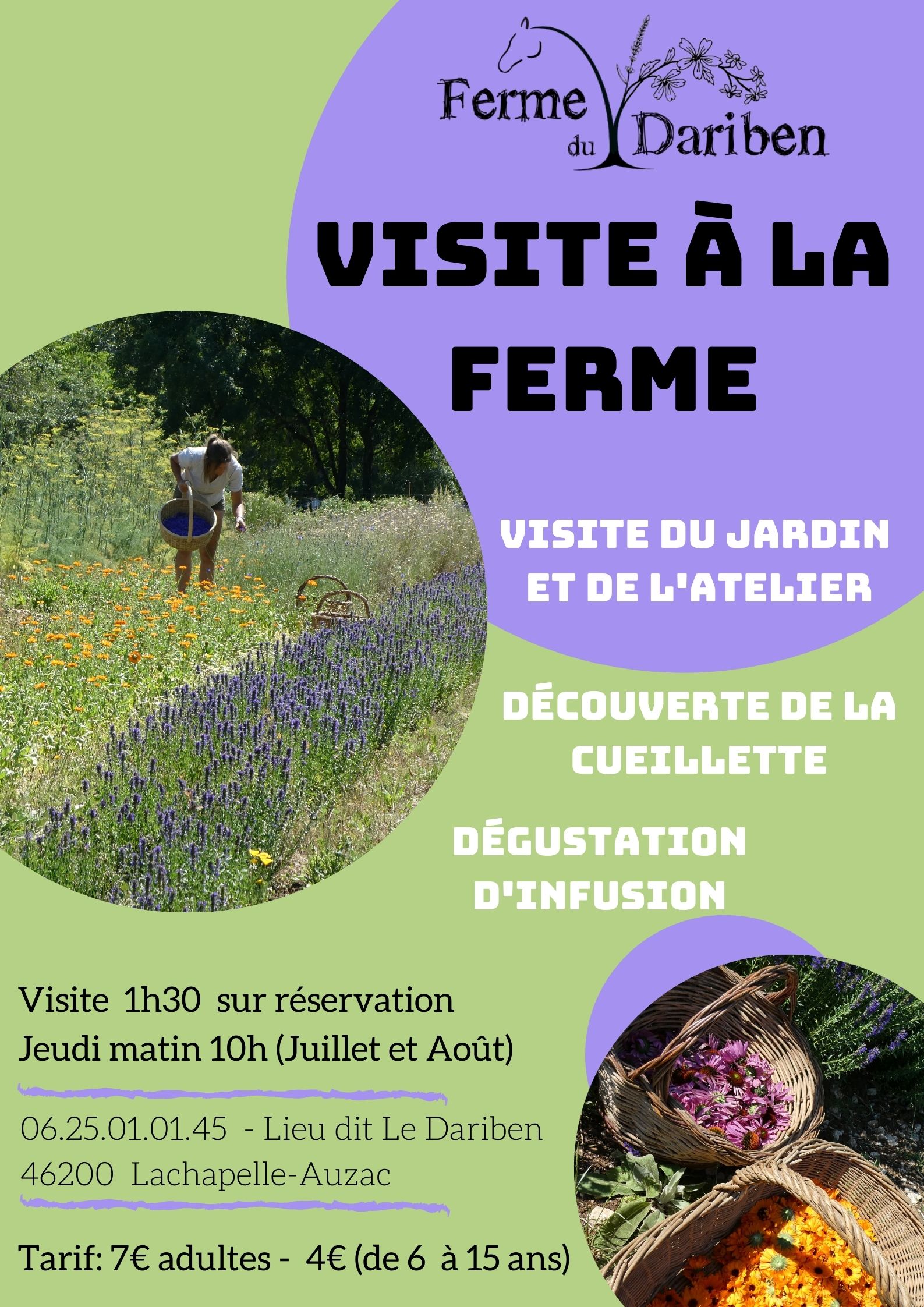 visite web21